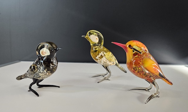 Bruine vogel.  Huismus   Oranje vogel