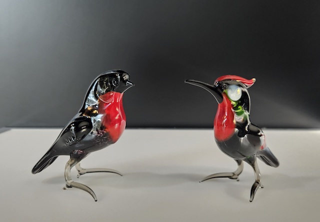  roodborst.    en.   specht